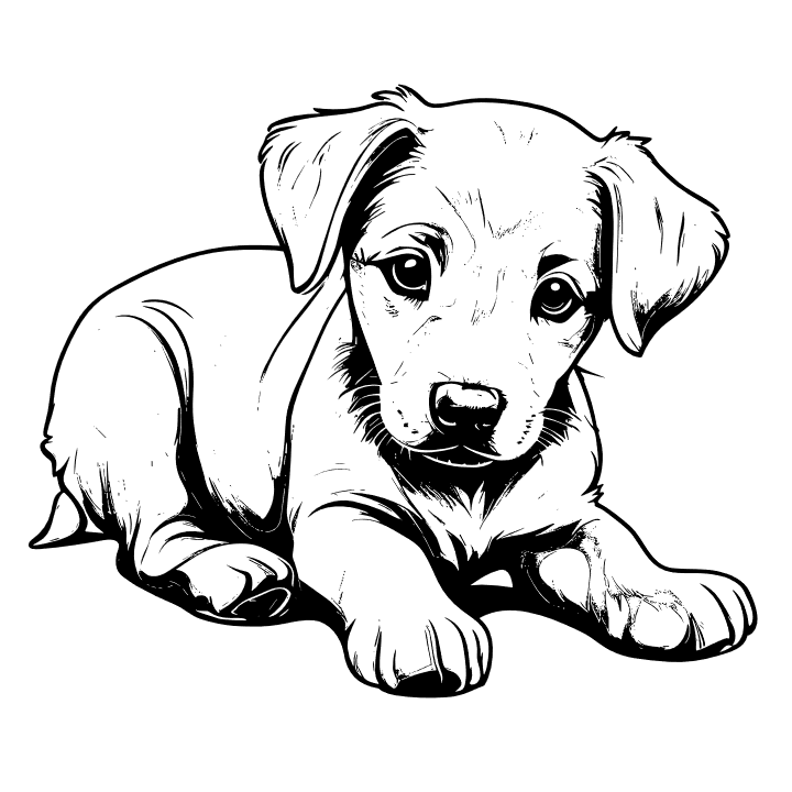 Dessin représentant un petit chiot couché dessiné d'une manière réaliste