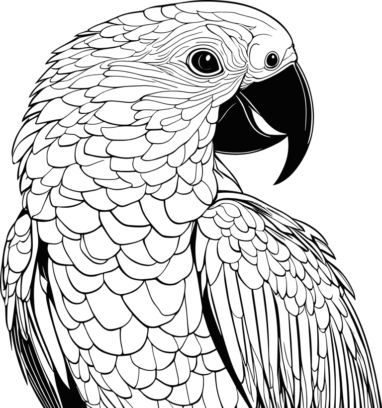 Dessin en noir et blanc d'un oiseau perroquet qui a l'air souriant