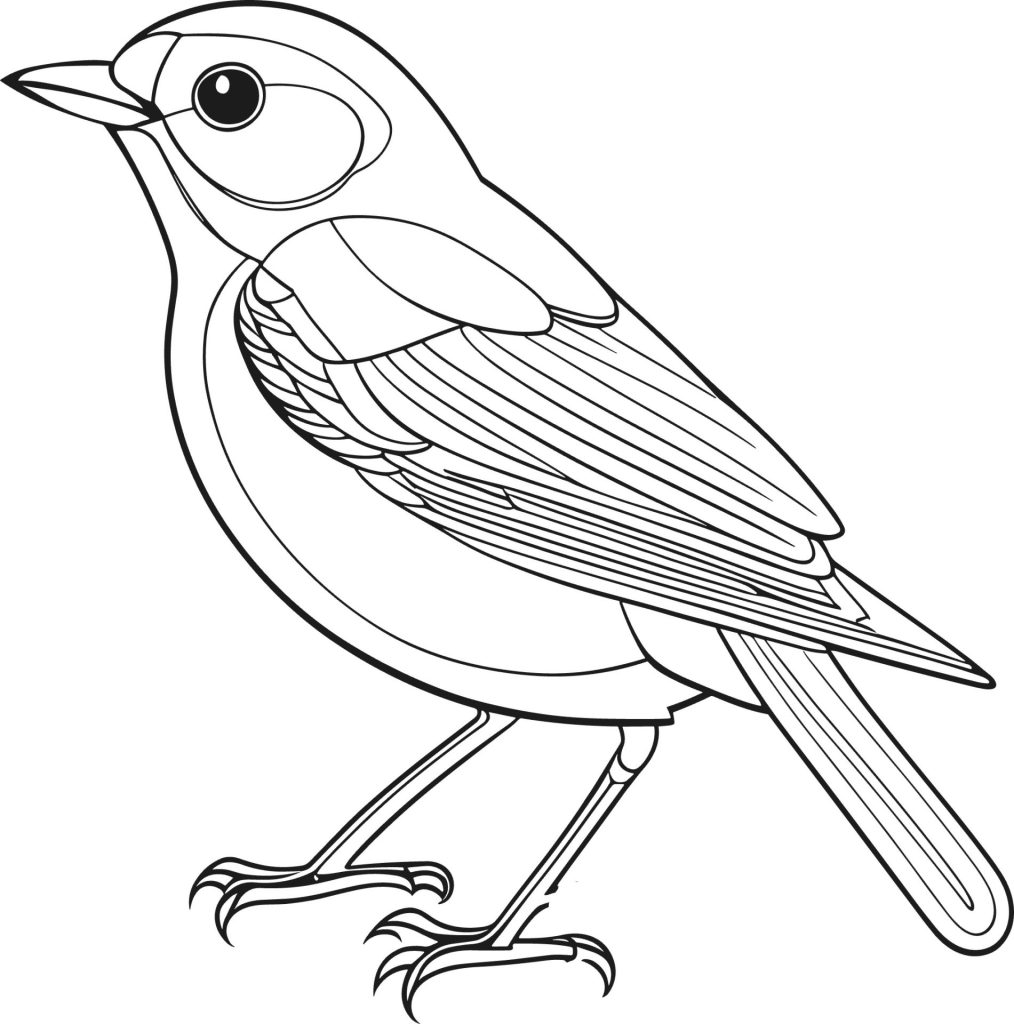 Dessin en noir et blanc avec un fond blanc d'un petit oiseau