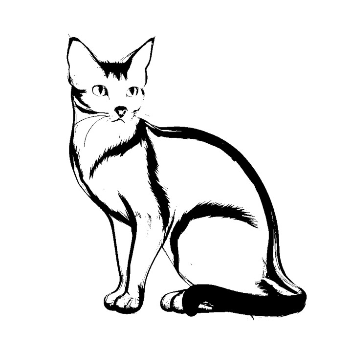 Dessin en noir et blanc fait au crayon d'un chat assis avec une allure majestueuse