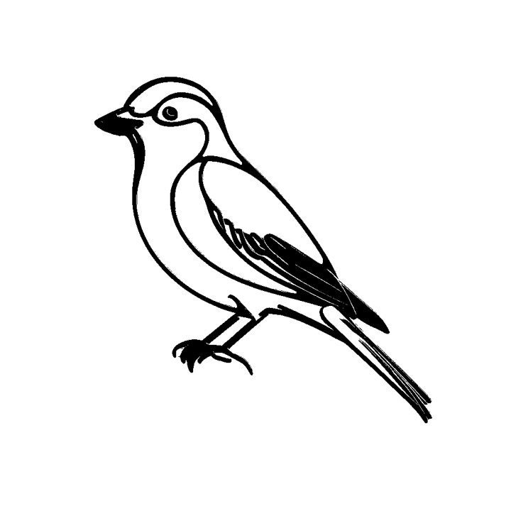 Dessin en noir et blanc d'un petit oiseau facile avec contour épais