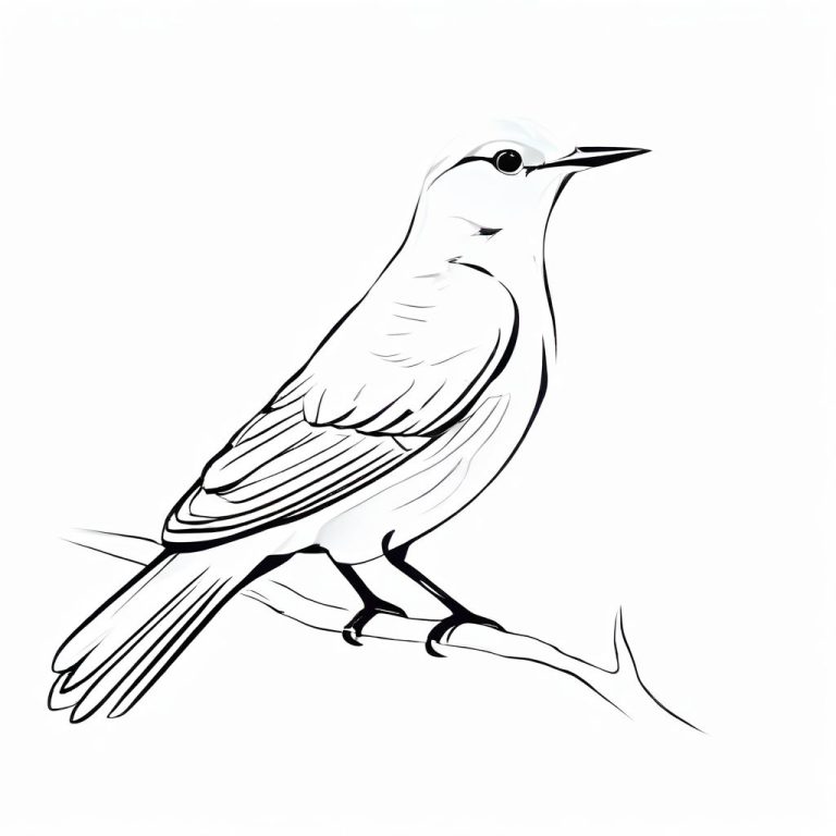 Dessin en noir et blanc d'un oiseau perché sur une branche