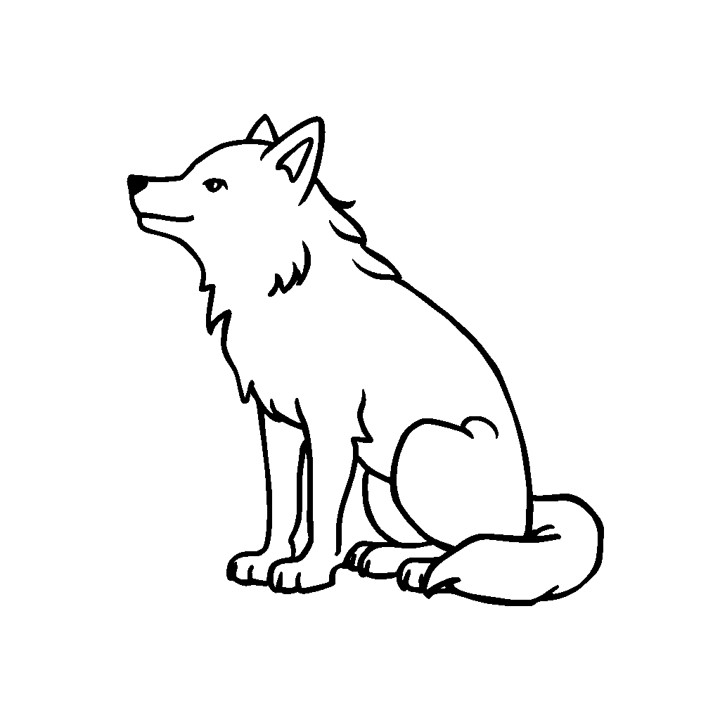 Illustration stylisée d'un loup, assis et regardant vers le haut, dessin au trait, minimaliste, noir et blanc.